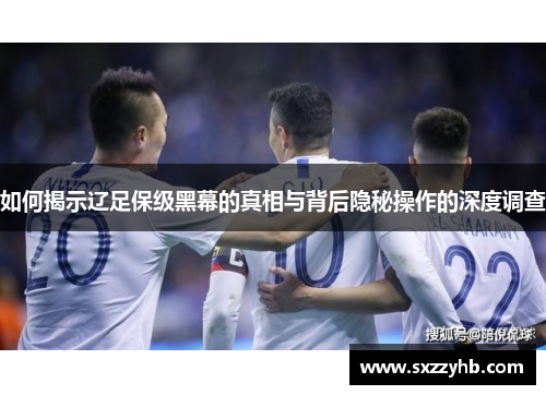 如何揭示辽足保级黑幕的真相与背后隐秘操作的深度调查